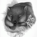 wild wombat gray